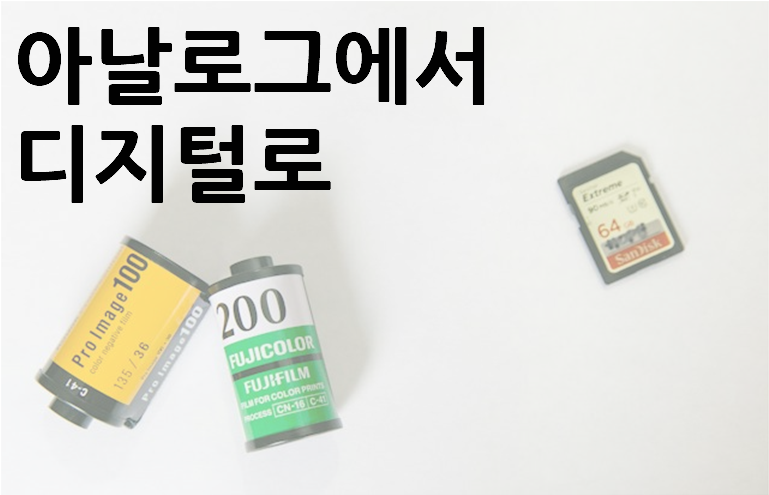 필름과 메모리카드