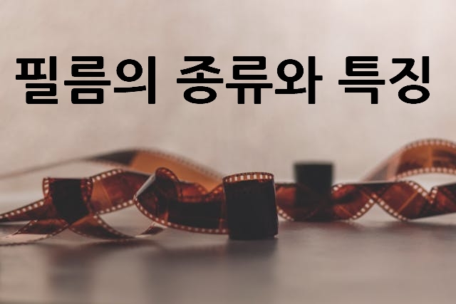 필름 롤