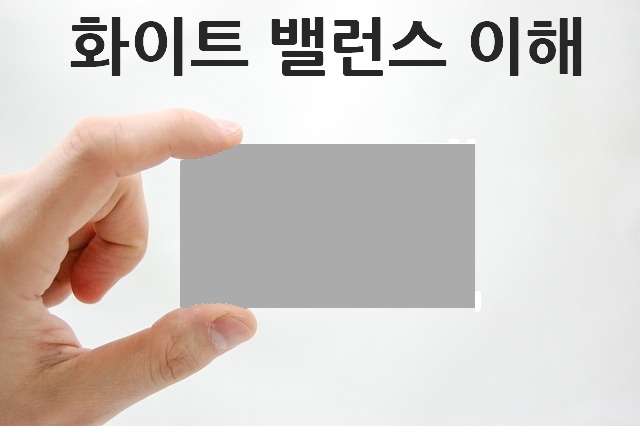 그레이카드를 손가락으로 들고 있는 사진