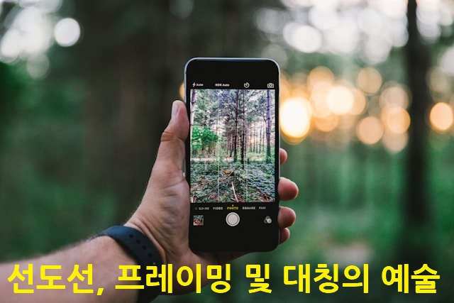 선도선, 프레이밍 및 대칭의 예술