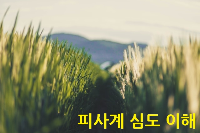 피사계 심도 이해