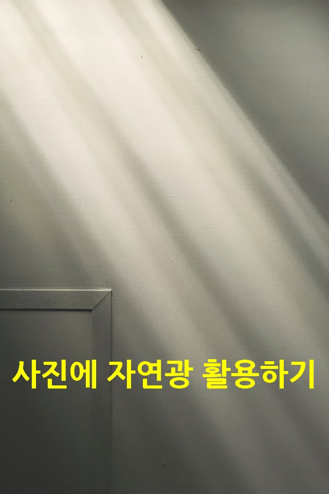 창가에서 실내로 빛이 들어오는 사진